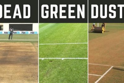 Exploring the Diversity of Cricket Pitches: Unveiling the Various Types