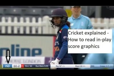 Cracking the Code: Decoding Umpire Gestures in Cricket