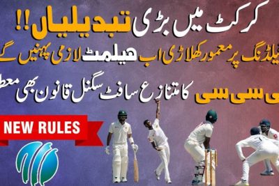 Cricket Fan&#8217;s Essential Guide: Key Signals to Master