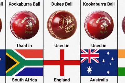 Top Cricket Ball Brands in International Matches: A Comprehensive Review