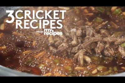 Cricket Cooking: Unique and Delicious Recipe Ideas